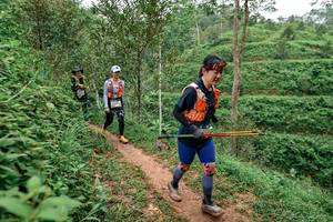 BIB: 
                            <button type="button" onclick="openModal(24878996)" class="btn btn-primary btn-sm float-right btn-popup" data-toggle="modal" data-target=".modal-high-quality">
                        <i class="fas fa-shopping-cart"></i> Add to Cart
                    </button>
                                            <button type="button" onclick="isThisMe(24878996, true)" class="btn btn-success btn-sm float-right btn-popup btn-isme hidden" data-toggle="tooltip" data-placement="bottom" title="นี่คือรูปของคุณใช่ไหม คลิกที่นี่เพื่อเอาเข้าอัลบั้ม">
                        <i class="fas fa-plus"></i> Add to album
                    </button>
                    <button type="button" onclick="isThisMe(24878996, false)" class="btn btn-warning btn-sm float-right btn-popup btn-isnotme hidden">
                        <i class="fas fa-ban"></i> Remove from album
                    </button>